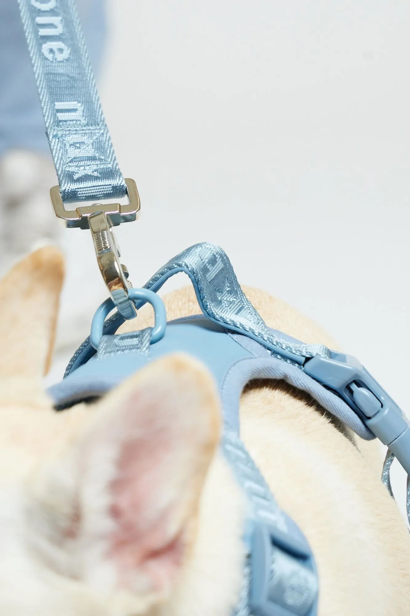Easy Fit Harness