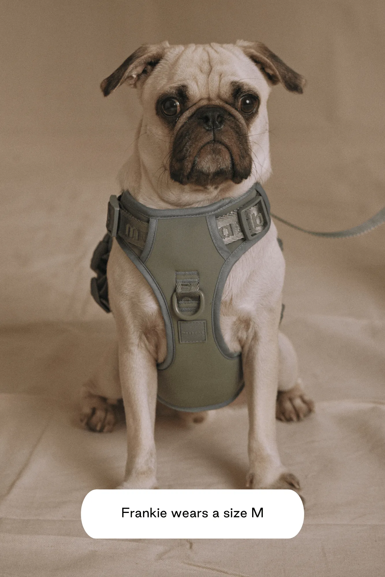 Easy Fit Harness