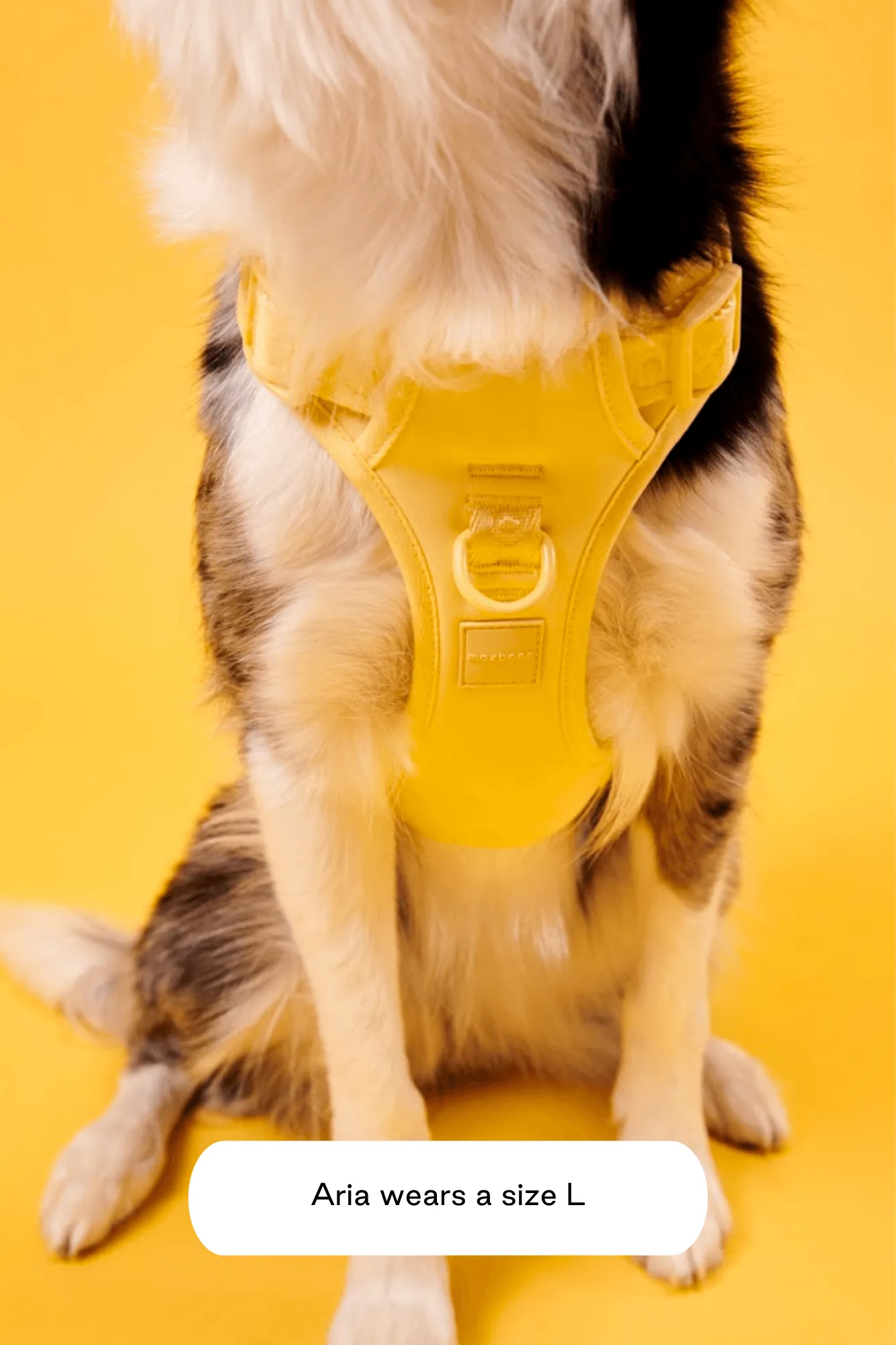 Easy Fit Harness