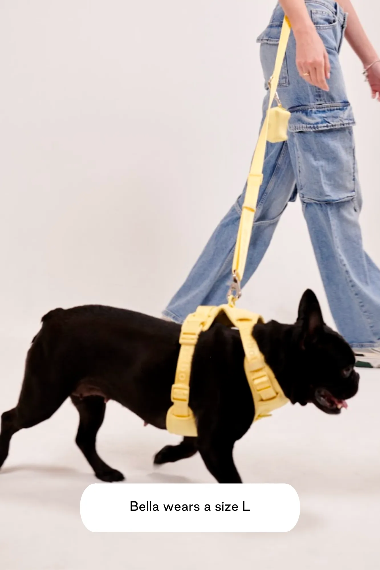 Easy Fit Harness