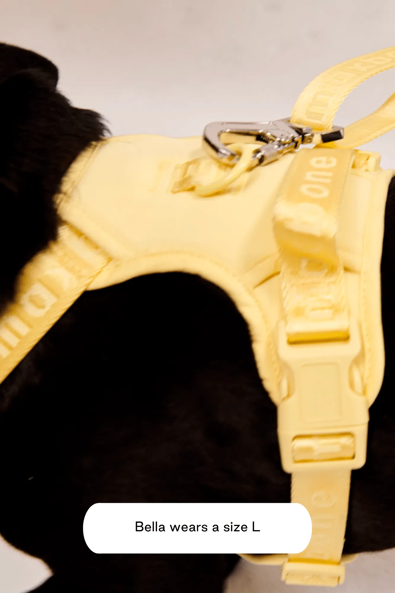 Easy Fit Harness