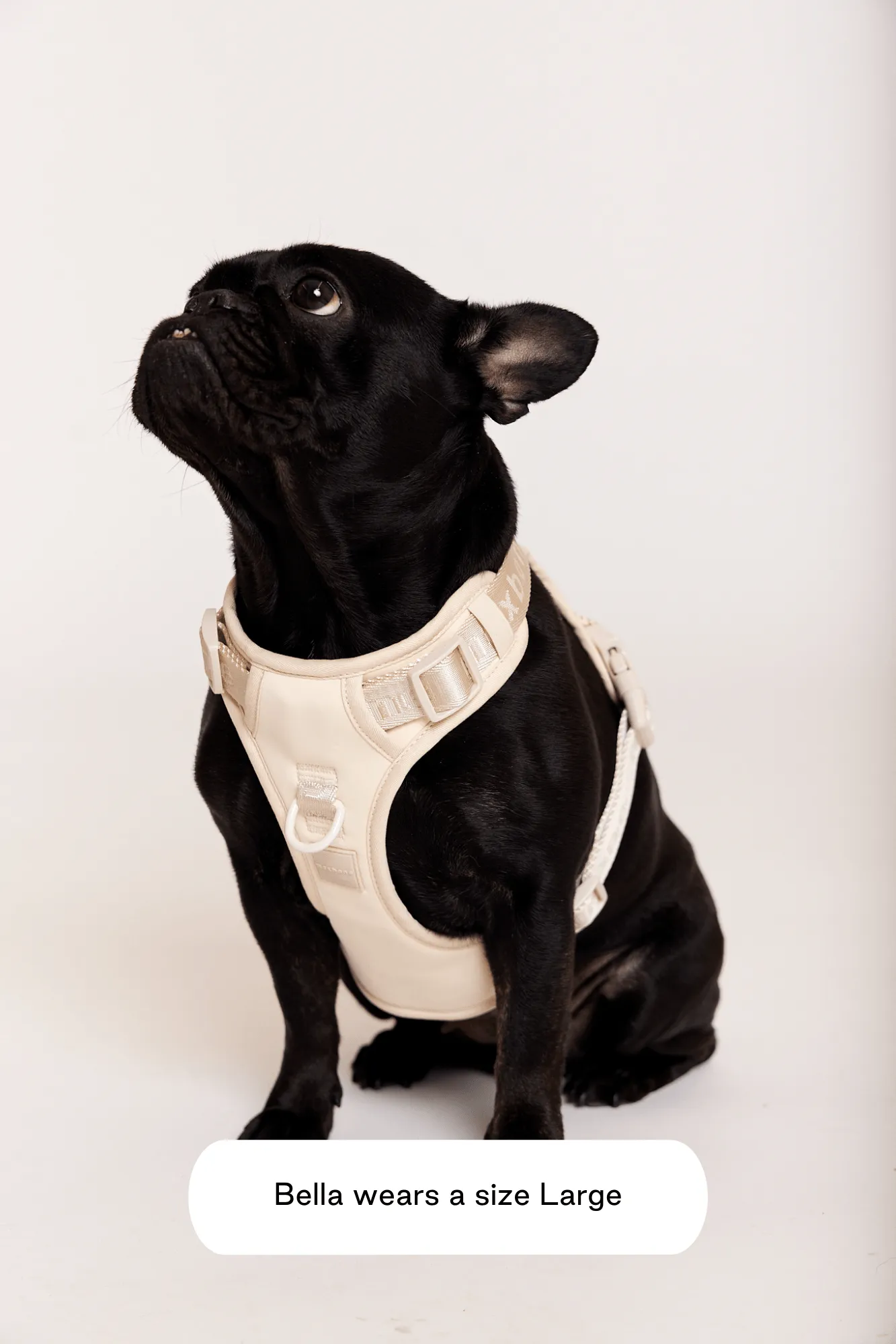 Easy Fit Harness