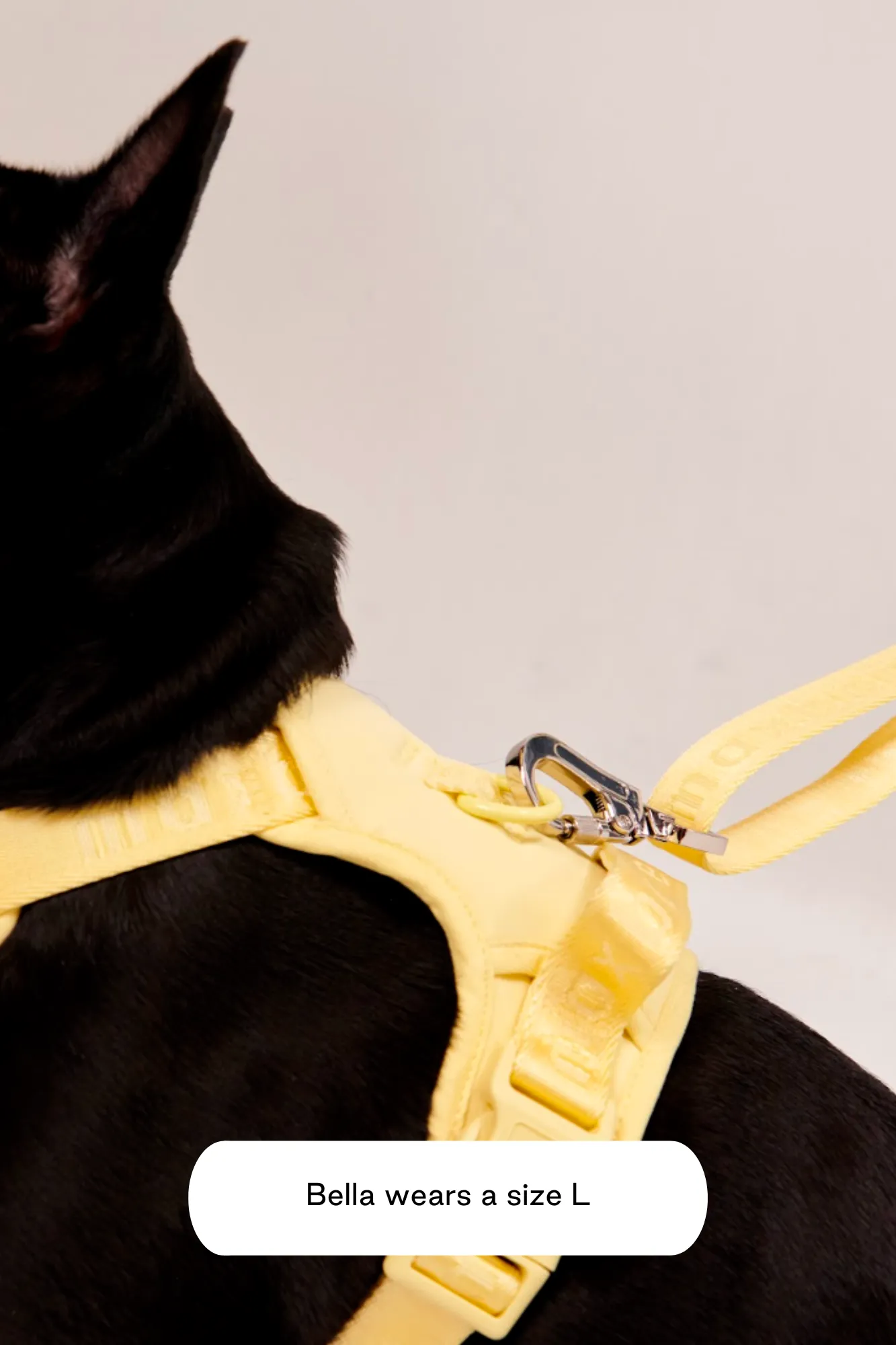 Easy Fit Harness