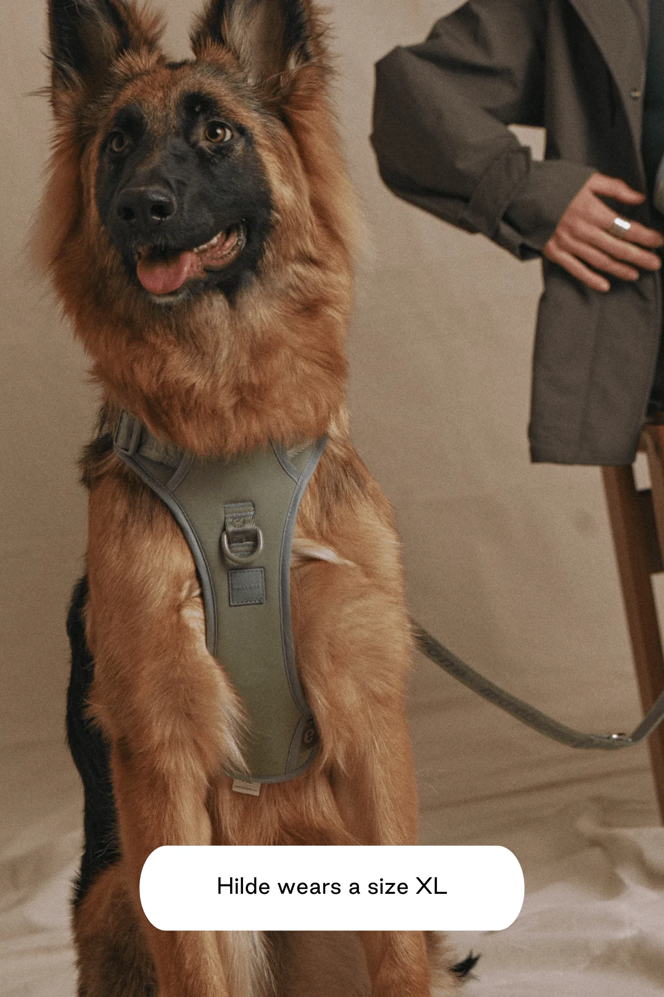 Easy Fit Harness
