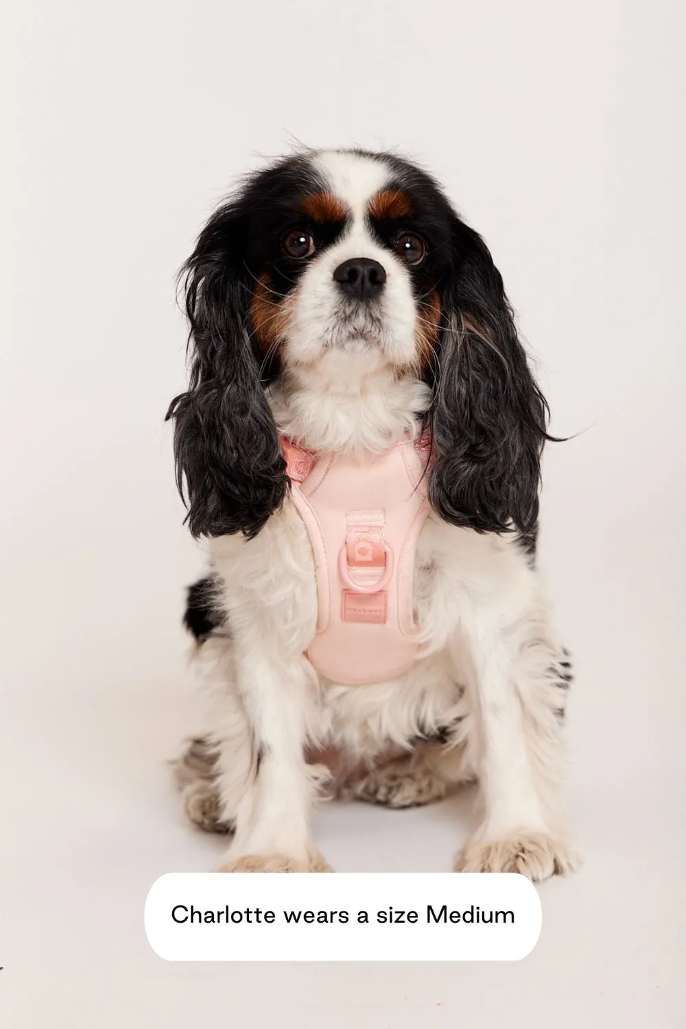 Easy Fit Harness