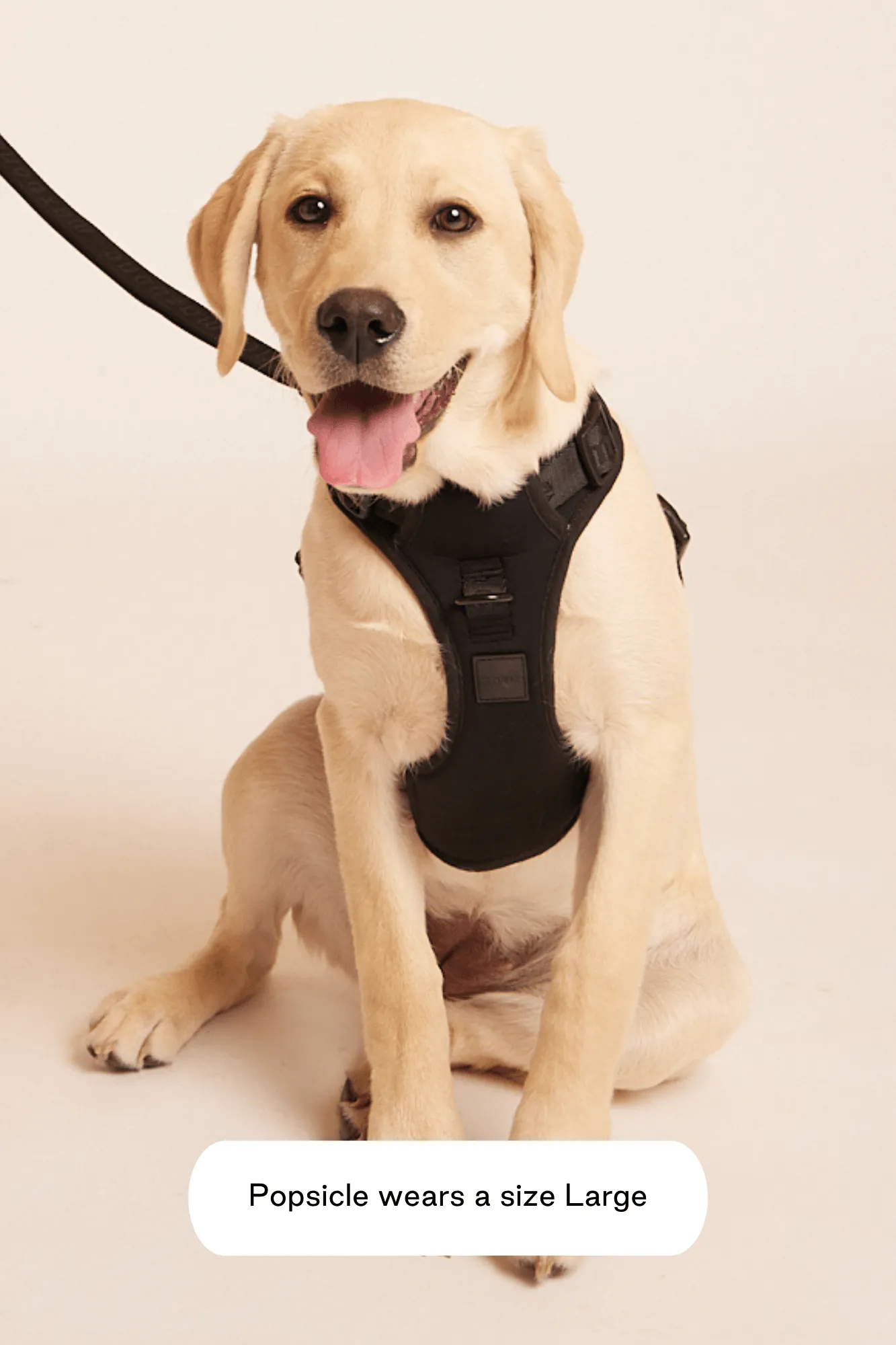 Easy Fit Harness