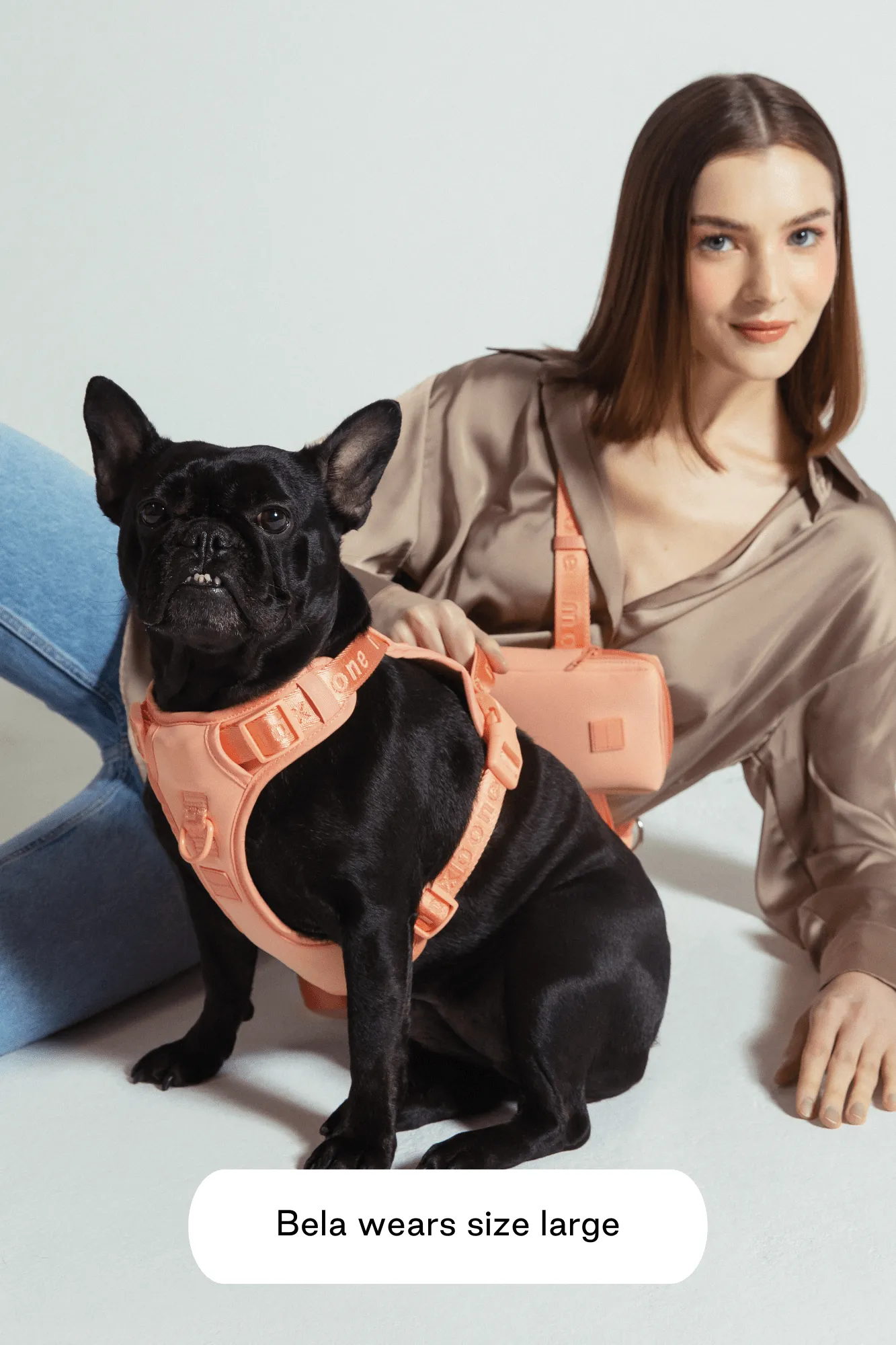 Easy Fit Harness