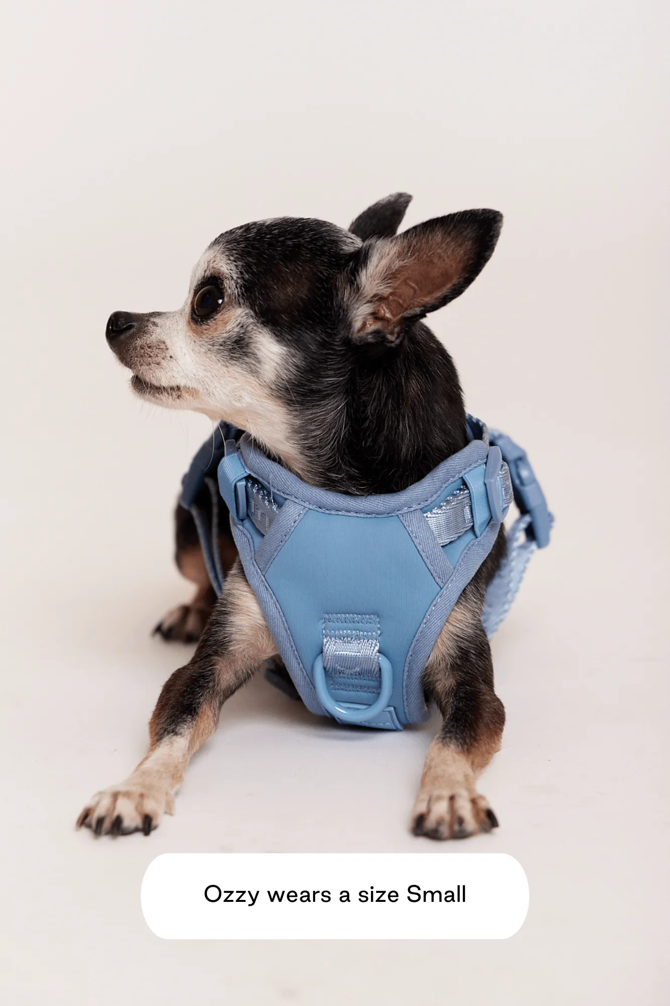 Easy Fit Harness