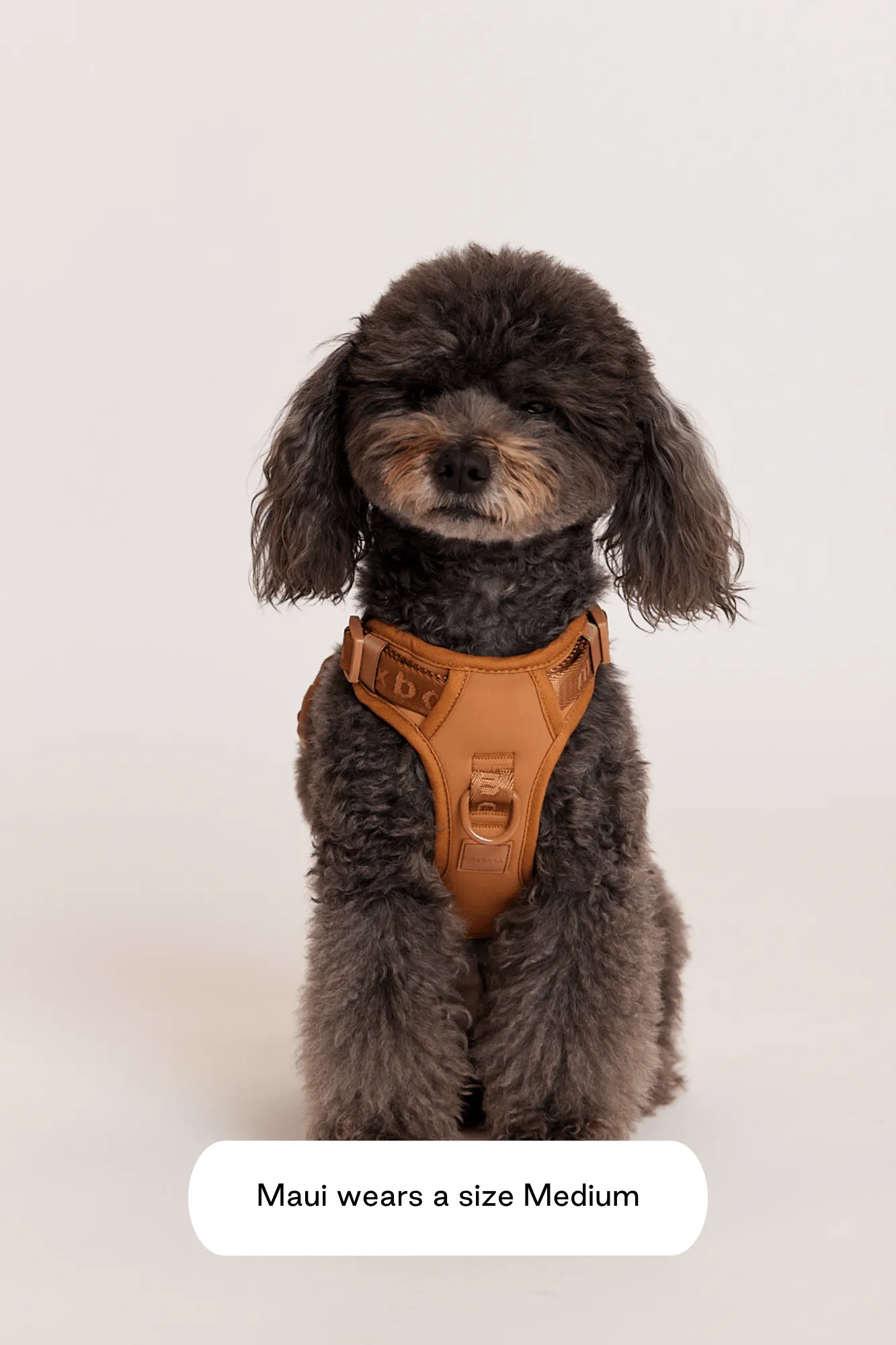 Easy Fit Harness